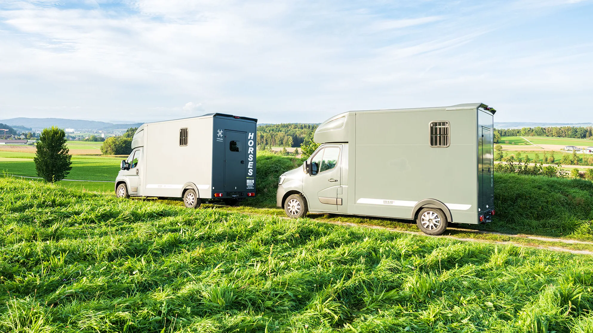 Cavalier Pferdetransporter
